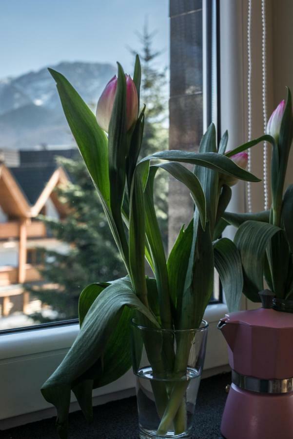 5 Krokow Zakopane Exteriör bild